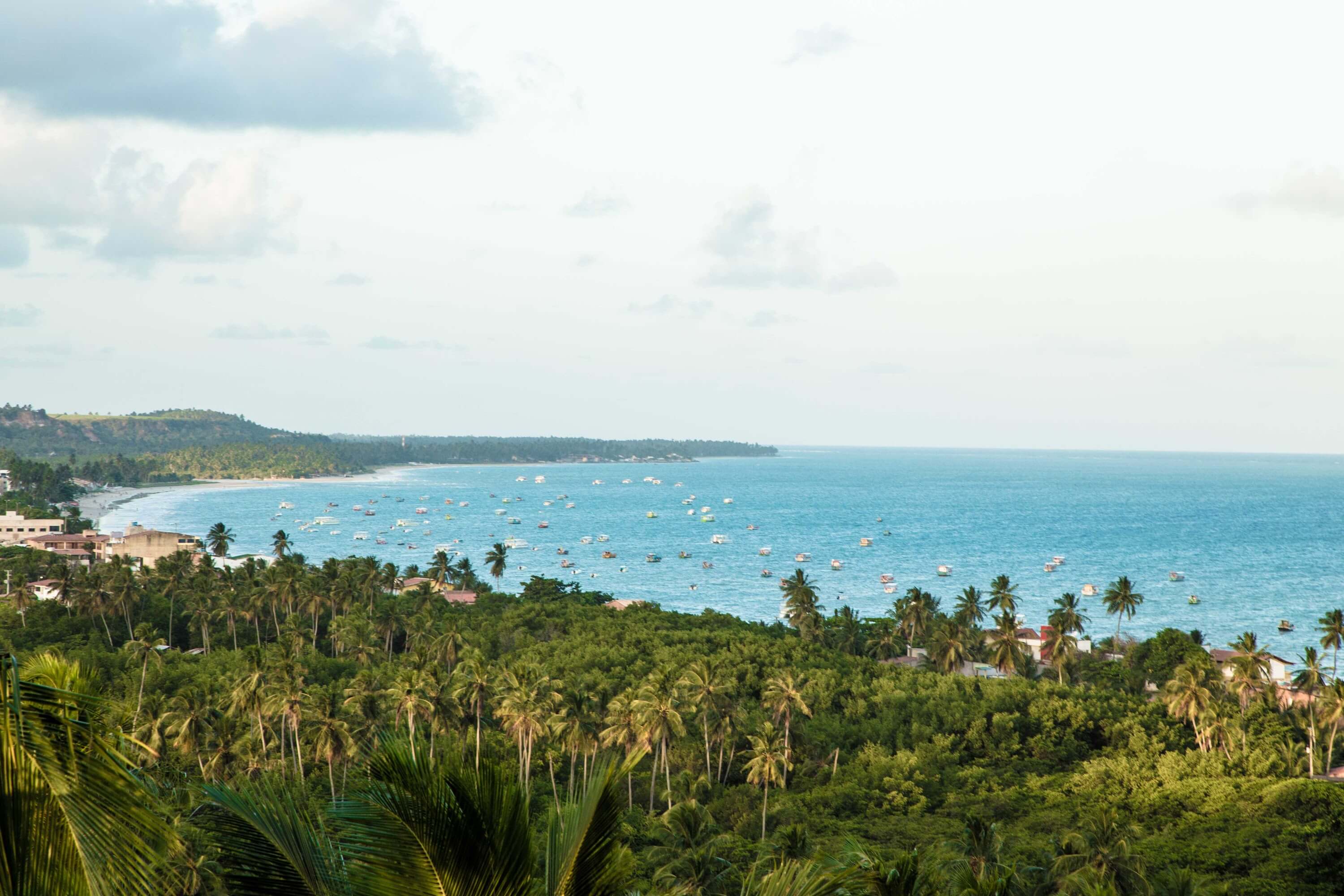 Vista do  Mirante para o mar e coqueiros das principais praias de Maragogi